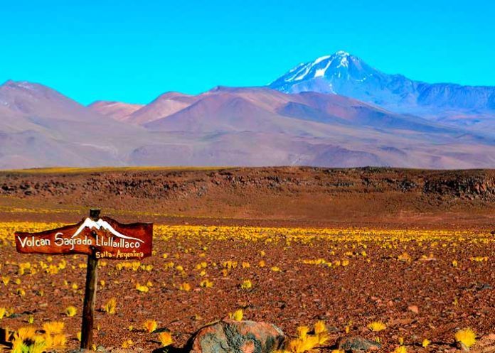 4 Foto: Científicos encuentran ratones momificados en volcanes de andinos de 6.000 Metros de altura /Cortesía