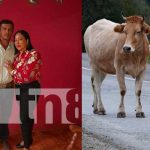 Foto: Semoviente sobre la vía provoca la muerte de un motociclista en Rivas / Cortesía