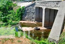 Lamentable suceso en Granada «Chempapé» Pone fin a su vida en el Puente Centroamérica Foto: Lamentable suceso en Granada “Chempapé” Pone fin a su vida en el Puente Centroamérica/TN8