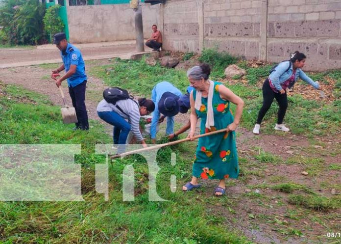 5 Foto: Somoto contra el mosquito transmisor /TN8