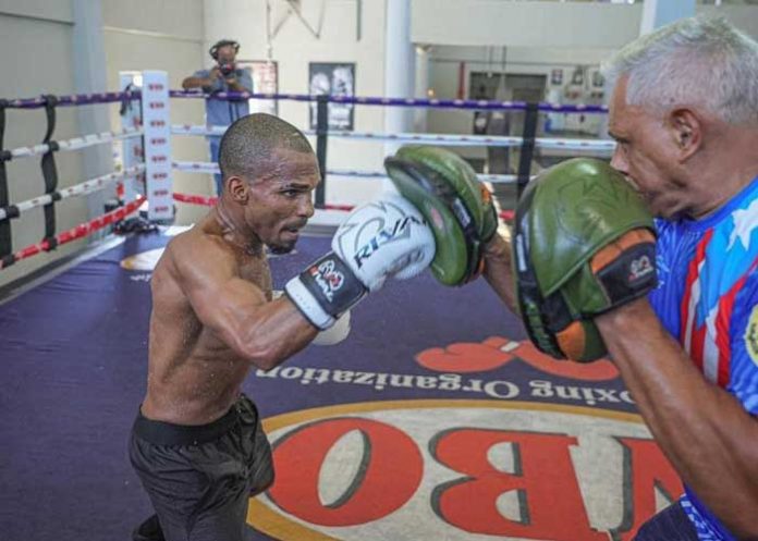 bomba, gonzález, boxeo, kevin, vivas,