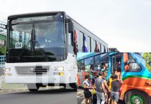¡Fachentos! Ciudad Sandino celebra el cambio total de su flota de buses