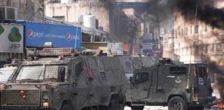 Suman 6.546 los muertos en Palestina 