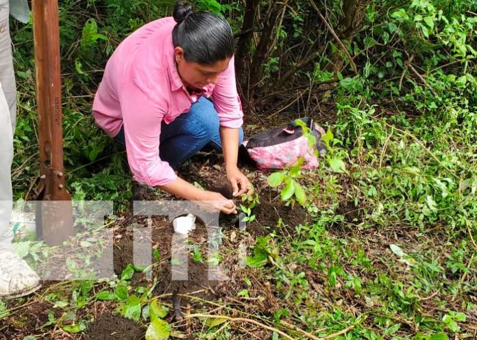 Unión Nacional de Empleados adopta 15 mil plantas