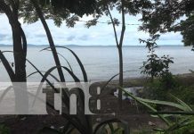 Rica gastronomía en Isla de Ometepe
