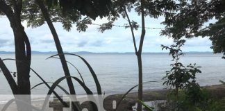 Rica gastronomía en Isla de Ometepe