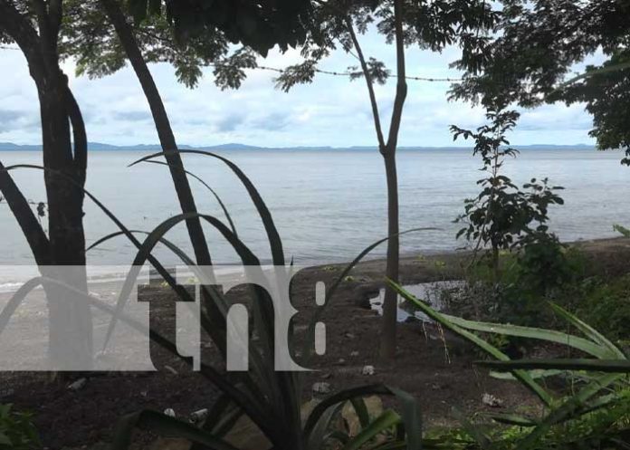 Rica gastronomía en Isla de Ometepe