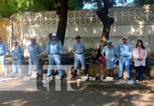 Trabajos efectivos del MINSA: Brigada antiepidémica en el Distrito III de Managua Foto: Trabajo antiepidémico en barrios de Managua / TN8