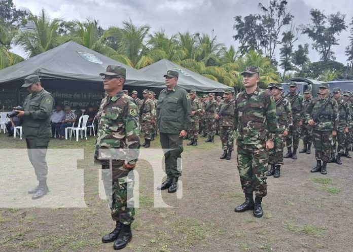 Foto: Plan de protección a cosecha del café / TN8