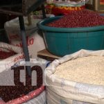 Foto: Sondeo de precios de la canasta básica en Nicaragua / TN8