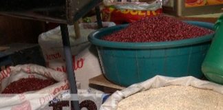 Foto: Sondeo de precios de la canasta básica en Nicaragua / TN8
