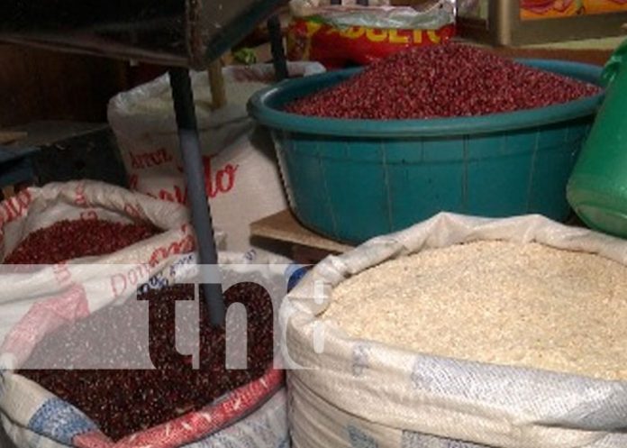 canbas-1 Foto: Sondeo de precios de la canasta básica en Nicaragua / TN8