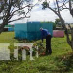 Limpieza y seguridad garantizan en el cementerio de Nandaime Foto: Limpieza de cementerios en Nandaime / TN8