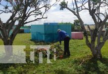 Foto: Limpieza de cementerios en Nandaime / TN8