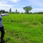 Foto: Finca Los Cocos, diversificación en Granada / TN8