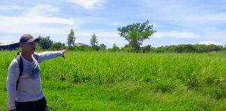 Foto: Finca Los Cocos, diversificación en Granada / TN8