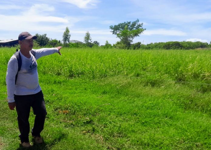 Foto: Finca Los Cocos, diversificación en Granada / TN8