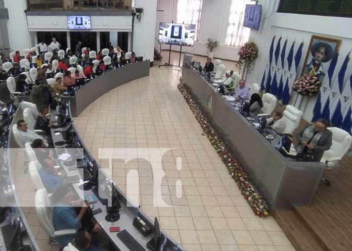 contralo-2 Foto: Sesión parlamentaria en la Asamblea de Nicaragua / TN8