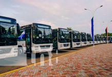 Nicaragua recibirá 900 nuevos autobuses marca Yutong en los próximos días Foto: Vicepresidenta de Nicaragua "200 buses chinos están ya en nuestra Nicaragua bendita"/ TN8
