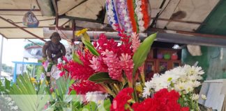 Foto: Flores, cruces y más se comercia antes del Día de los Difuntos en Nicaragua / TN8