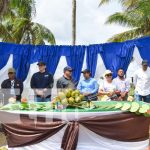 Foto: Grandes expectativas con reconstrucción en Haulover / TN8