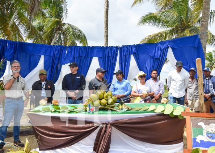 Foto: Grandes expectativas con reconstrucción en Haulover / TN8