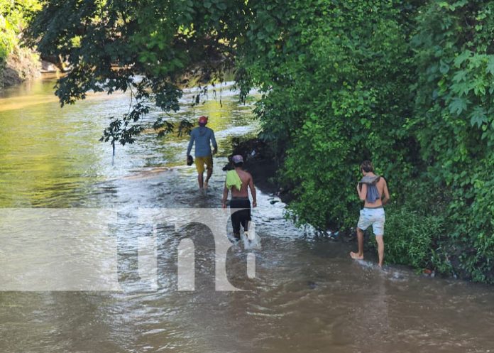 Foto: Una familia fue arrastrada por una corriente de un río en León / TN8