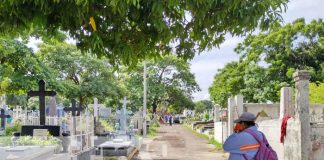 Foto: Limpieza de cementerios en Managua / TN8