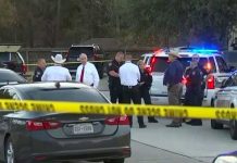 Desgarrador: En Florida madre asesinó a sus gemelitos y posteriormente se suicidó Mamá asesina a sus gemelos y luego se suicida en Florida