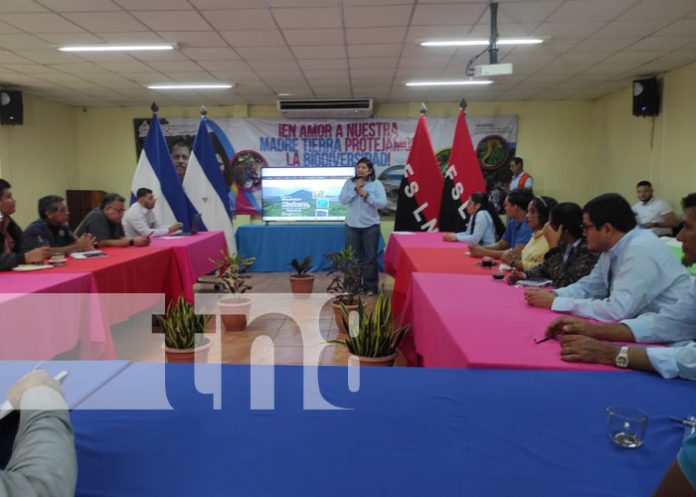 maren-01 Foto: Conferencia de prensa desde el MARENA / TN8