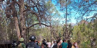 Rescatan a 15 personas secuestradas en México