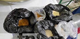 Más de cien protagonistas en el Foro Nacional de Peces en Estanque