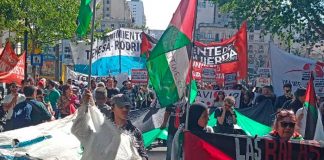 Realizan manifestaciones de apoyo a Palestina 