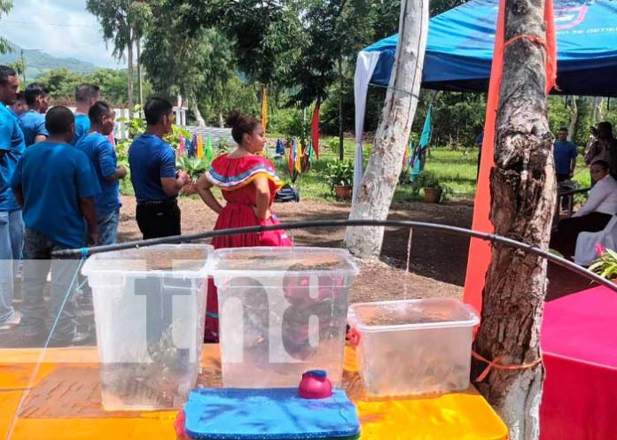 Reclusos de Matagalpa en proyectos de emprendimiento