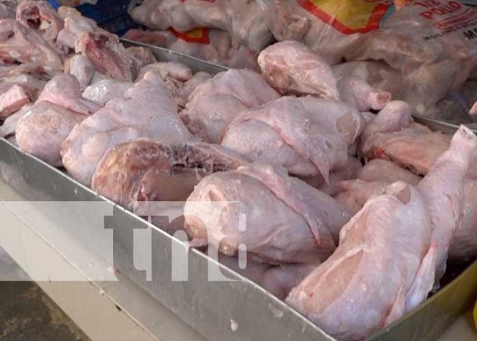 Foto: Monitoreo de precios con la canasta básica en Nicaragua / TN8