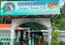 Zoológico de Juigalpa se prepara para que Itzae sea visitado