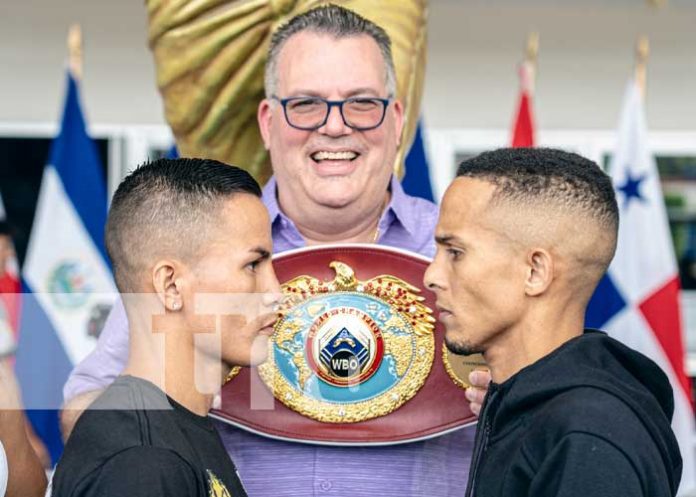 rene-01 Foto: Se acerca el combate estelar de boxeo entre Kevin Vivas y el boricua René Santiago / TN8