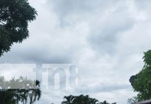 En calma: Cielos despejados en el Triángulo Minero con el paso de la depresión tropical Foto: Cielos sin lluvia en el Triángulo Minero, Caribe de Nicaragua / TN8