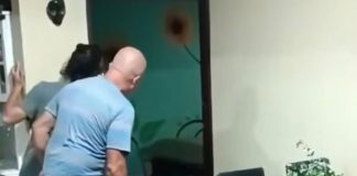Foto: Vacas entran a una casa en Costa Rica y se vuelven virales
