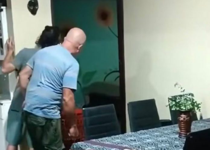 Foto: Vacas entran a una casa en Costa Rica y se vuelven virales