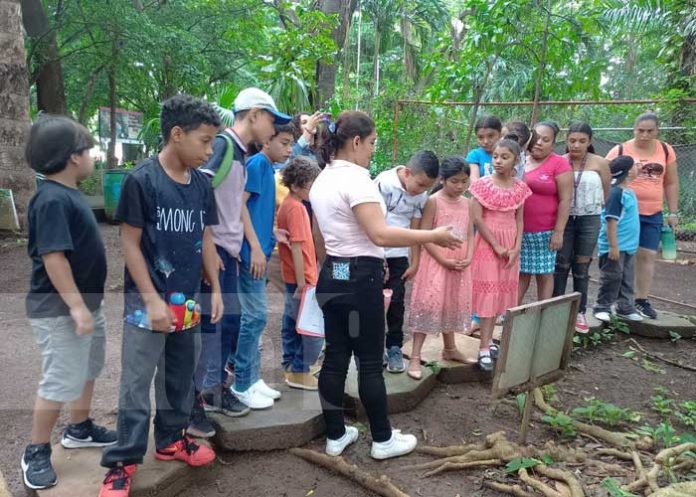 Foto: Arboretum Nacional realiza mañana creativa para el cuido del medio ambiente/TN8
