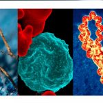 Foto: Disminuyen los contagios de Malaria, Neumonía y Dengue, entre otras enfermedades que afectan el país /Cortesía
