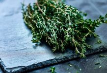 ¡Cuida tus pulmones! Conocé la planta medicinal que te caerá «potente» Foto: Consejos para limpiar tus pulmones /cortesía