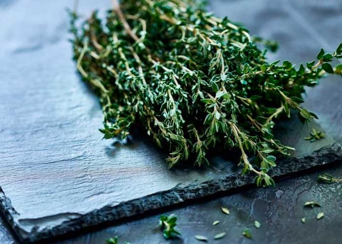 Foto: Consejos para limpiar tus pulmones /cortesía