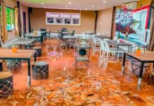 ¡Sweet Fishs Café! Donde comer se convierte en una experiencia acuática (Video) Foto: ¡Sweet Fishs Café! Donde comer se convierte en una experiencia acuática (Video)/Cortesía