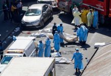 Macabro hallazgo de siete hombres brutalmente asesinados en Zacatecas Macabro hallazgo de siete hombres brutalmente asesinados en Zacatecas