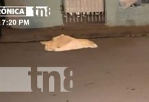 Señor muere arrollado por un taxi en barrio Laureano Mairena, Managua Señor muere arrollado por un taxi en barrio Laureano Mairena, Managua