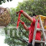Nandaime se ilumina: El espíritu navideño llega con luces y alegría Nandaime se ilumina: El espíritu navideño llega con luces y alegría