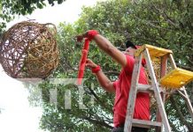 Nandaime se ilumina: El espíritu navideño llega con luces y alegría