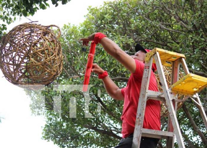 Nandaime se ilumina: El espíritu navideño llega con luces y alegría